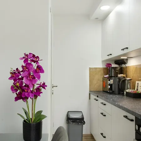 Lejlighed Modern Neuburg Sp - Neu - 2 Zimmer, Komfort, Ausgestattet, Smart Tv, Wi-fi Neuburg an Der Donau